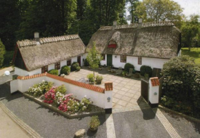 Julieanehåb